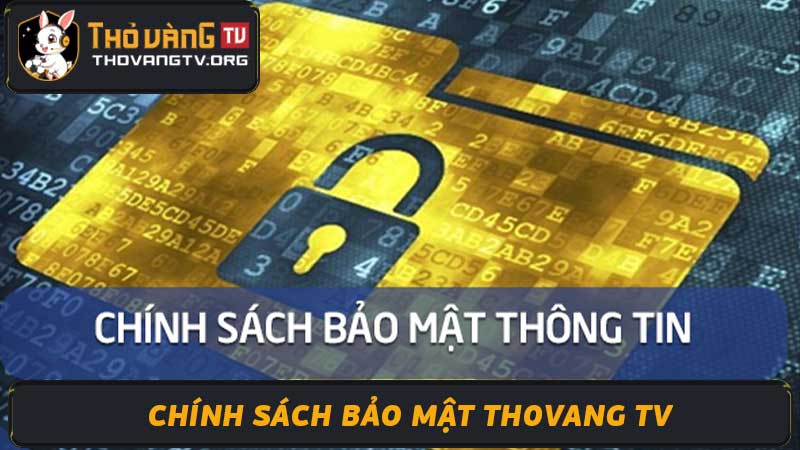 Chính sách bảo mật thovang TV - Bảo mật thông tin người dùng