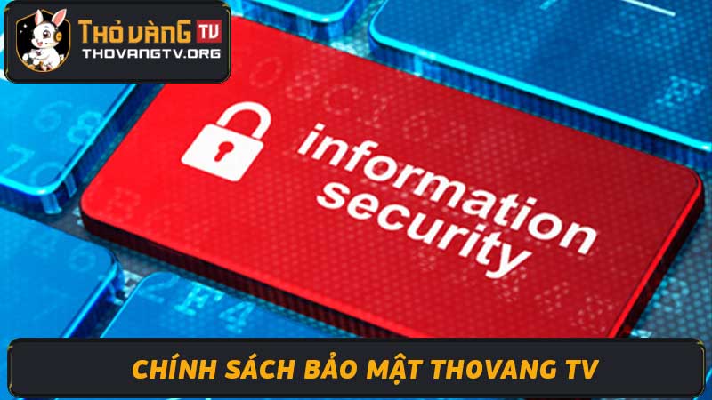 Chính sách bảo mật thovang TV - Bảo mật thông tin người dùng