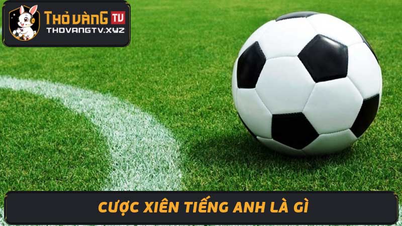 Cược xiên là gì Hướng dẫn chi tiết cách chơi từ cao thủ