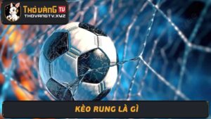 Đánh Kèo Rung Là Gì Bí Kíp Chiến Thắng Keo Rung