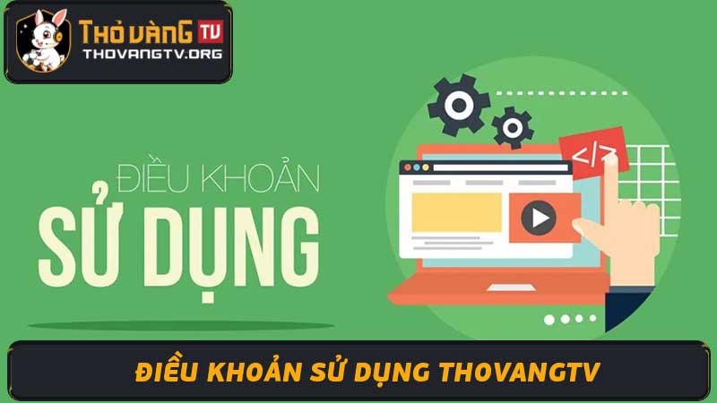 Điều khoản sử dụng ThoVang TV - Luật và Chính sách