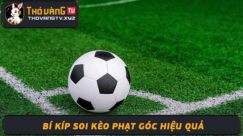 Soi Kèo Phạt Góc Bí Kíp Đánh Bại Nhà Cái & Kiếm Lợi Nhuận