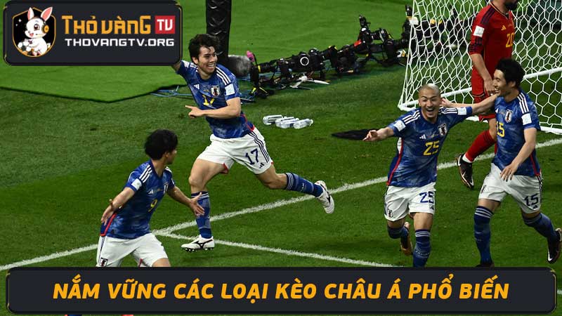 Soi kèo Châu Á - Bật mí bí kíp thắng cược hiệu quả nhất 2024