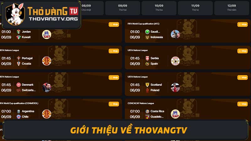 Thovangtv - Nơi Cung Cấp Link Bóng Đá Trực Tiếp Chất Lượng