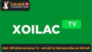 Trực Tiếp bóng đá Xoilac TV - Chất Lượng, Bình Luận Hay