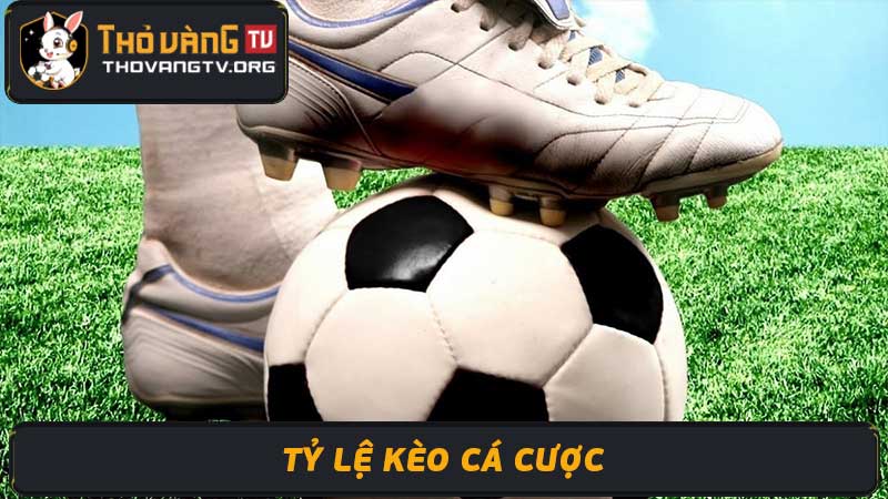 Tỷ lệ Kèo Cá Cược - Cập nhật tỷ lệ kèo bóng đá mới nhất 2024